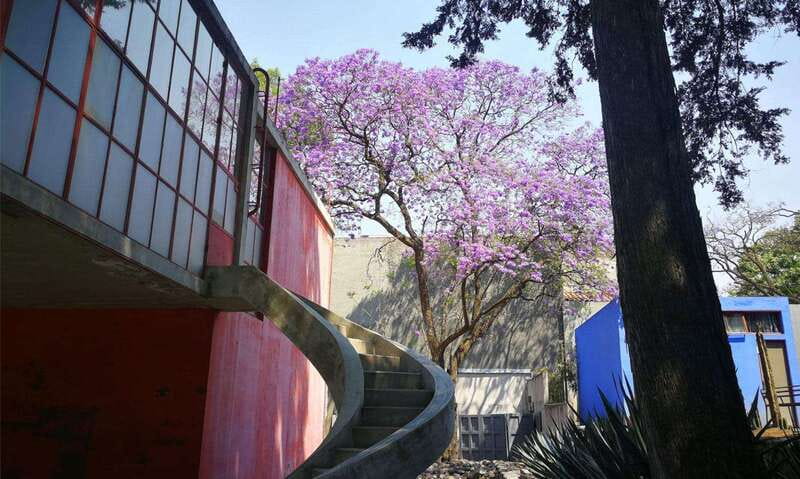Mexico City: Frida Kahlo-Diego Rivera Studio House Tour - Inside the Studio House Museum