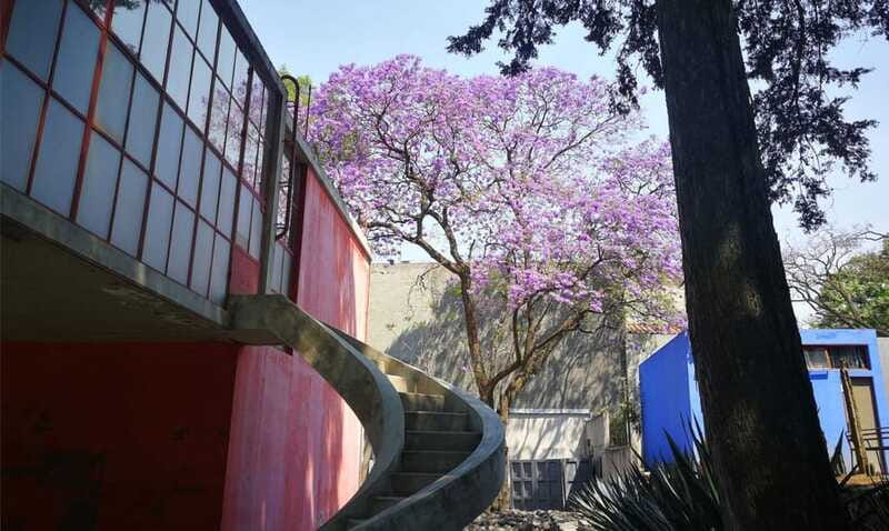 Mexico City: Frida Kahlo-Diego Rivera Studio House Tour - Who will enjoy this tour most