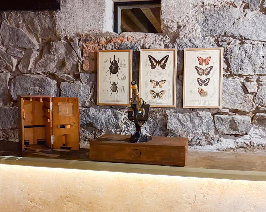 Mexico City: Frida Kahlo Museum Entry Ticket w/Digital Guide - Should You Book the Casa Azul Ticket?