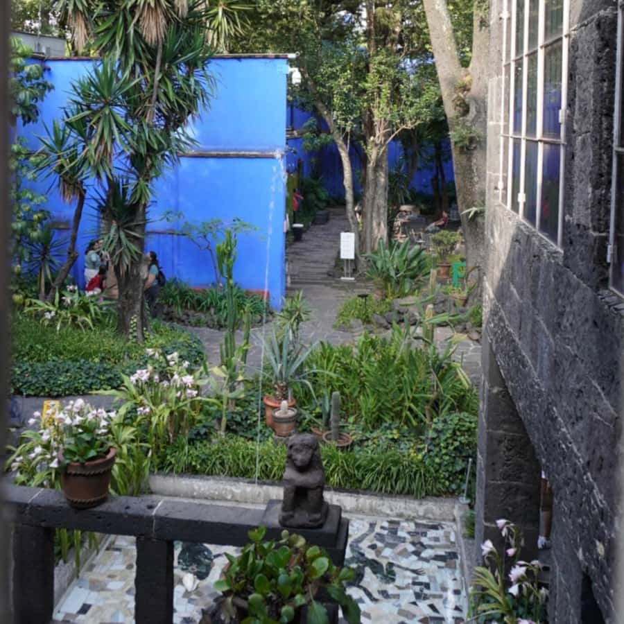 Mexico City: Frida Kahlo Museum Tour - Key points to know before you book
