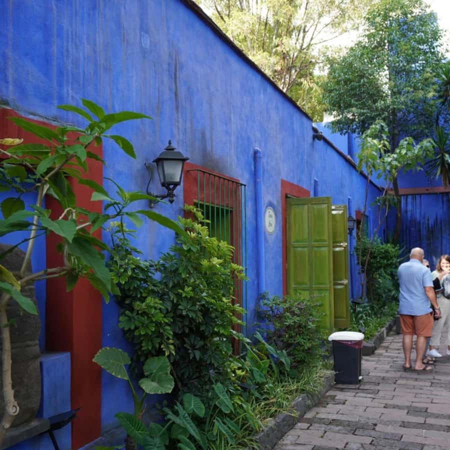 Mexico City: Frida Kahlo Museum Tour - Frida as daughter, sister, artist, and political figure