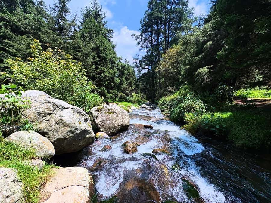 Mexico City: Guided Hike in the Dinamos Forest - Key points to know before booking