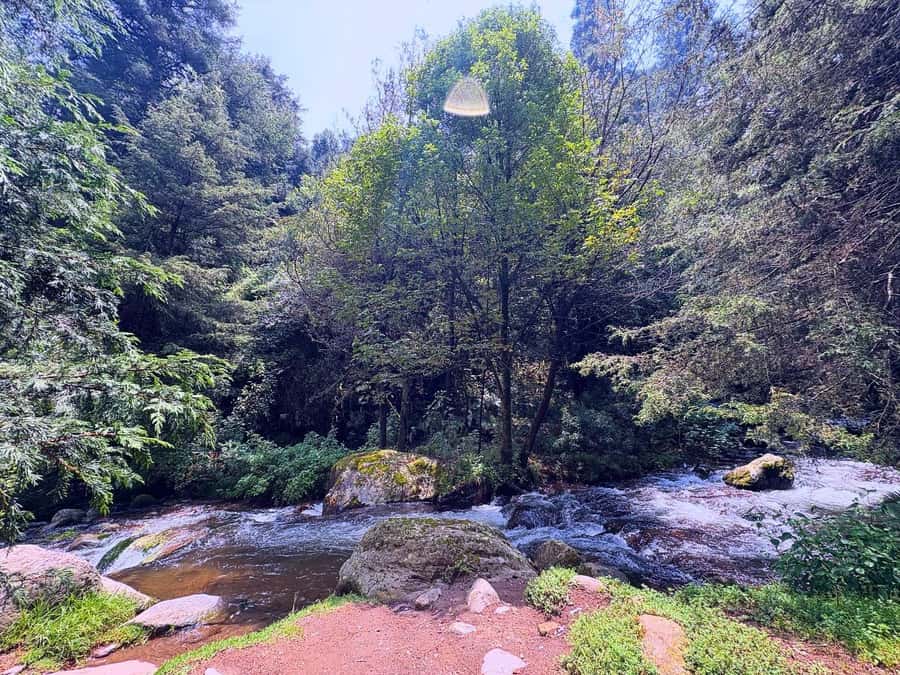 Mexico City: Guided Hike in the Dinamos Forest - The old dynamos and early hydroelectric power