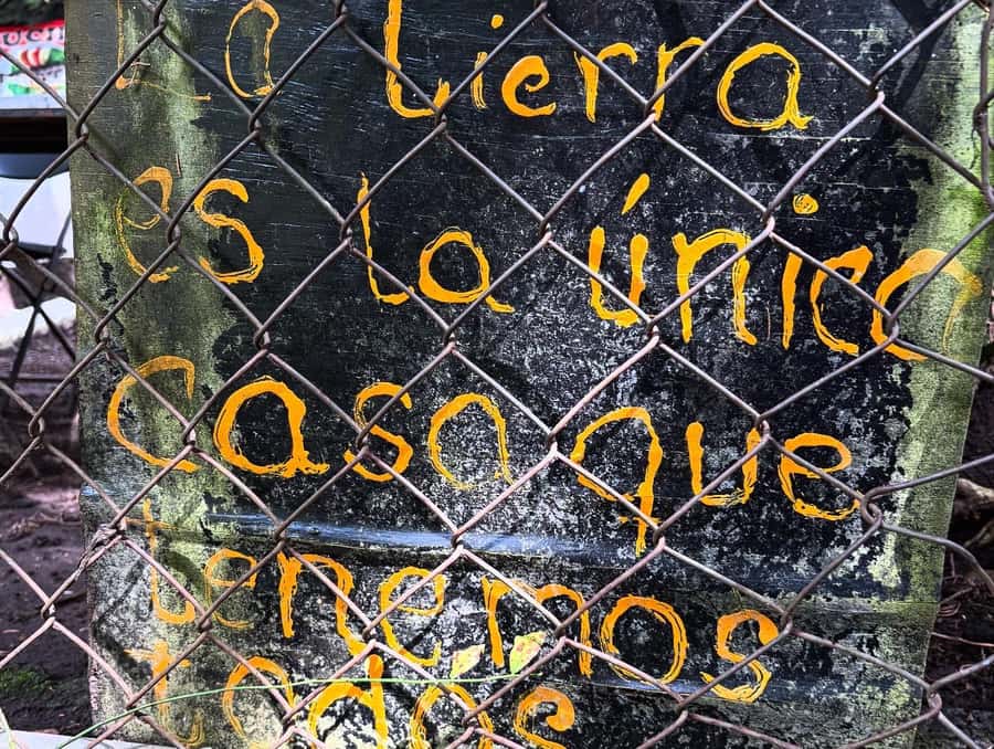 Mexico City: Guided Hike in the Dinamos Forest - Who should book this forest hike?