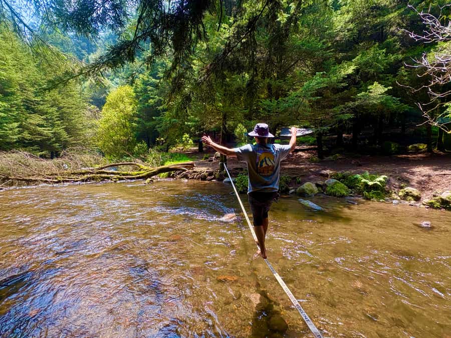 Mexico City: Guided Hike in the Dinamos Forest - Walking beside Mexico City’s last living river