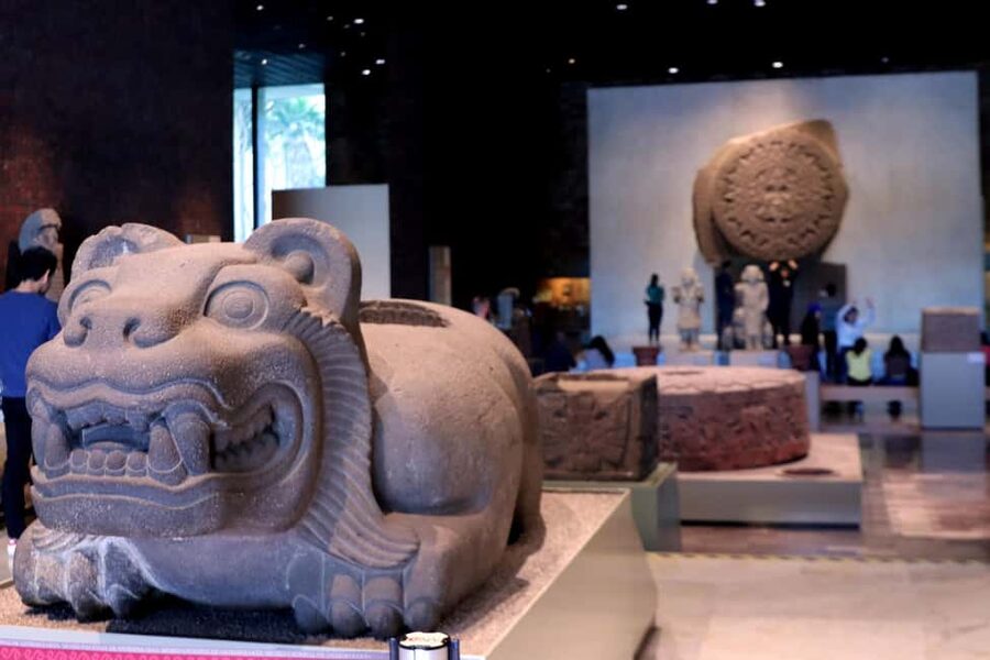 Mexico City: Guided Visit of the Museum of Anthropology - Why the Free Time Matters