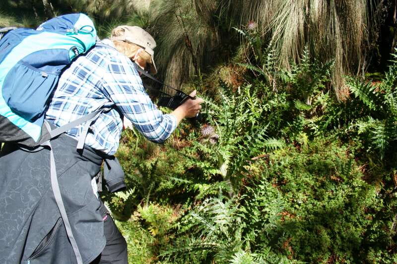 Mexico City: Guided Volcano Trek with Lunch - Leaving Mexico City for Paso de Cortes
