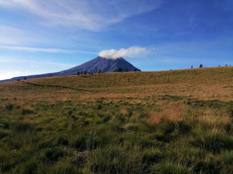 Mexico City: Guided Volcano Trek with Lunch - Flora, fauna, and the quieter side of the park