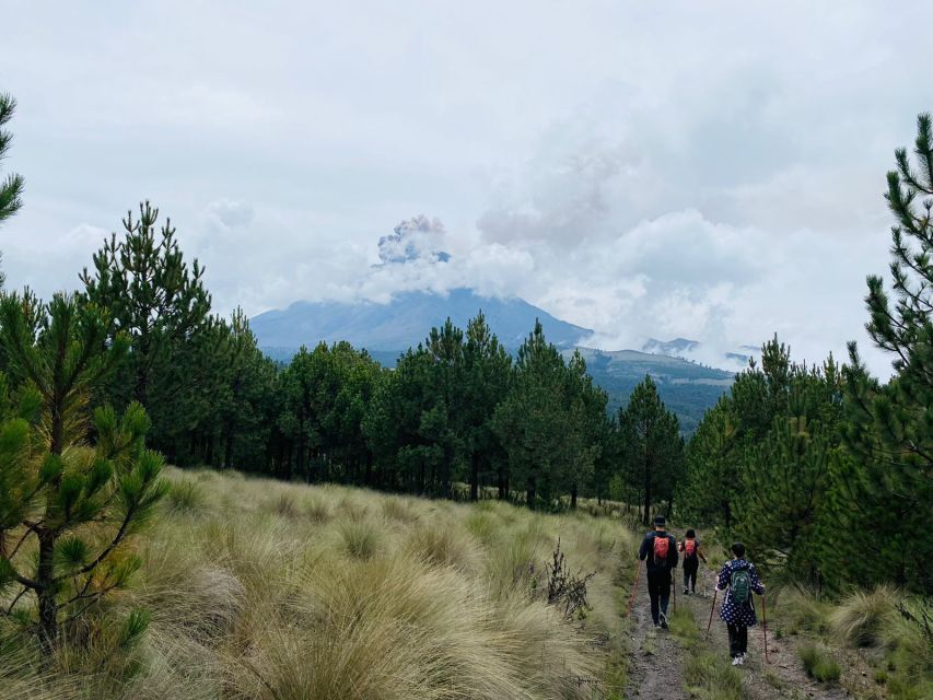 Mexico City: Guided Volcano Trek with Lunch - Lunch at a traditional market