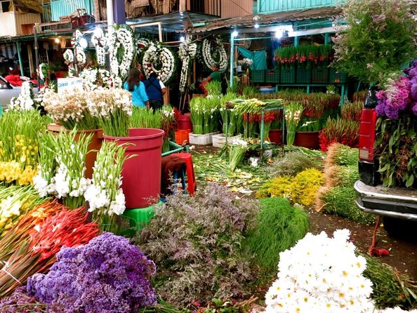 Mexico City: Hidden Markets, Street Food & Salsa-Making Tour - The salsa lesson with a local family