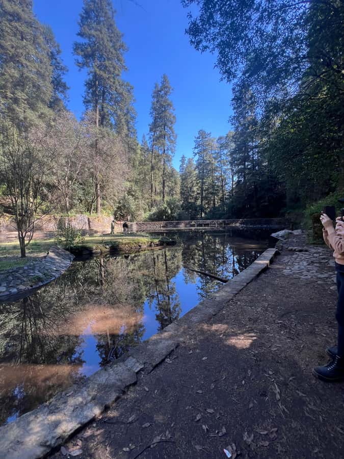 Mexico city: Hiking tour to Desierto de los leones - The Ride Out From Mexico City