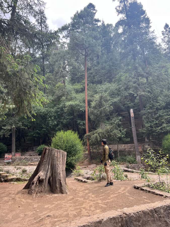 Mexico city: Hiking tour to Desierto de los leones - Reaching the Ex-Convent in the Forest