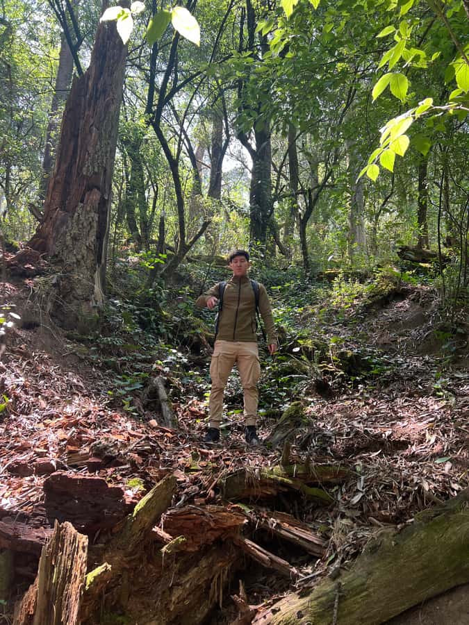 Mexico city: Hiking tour to Desierto de los leones - What the $163 Price Really Covers