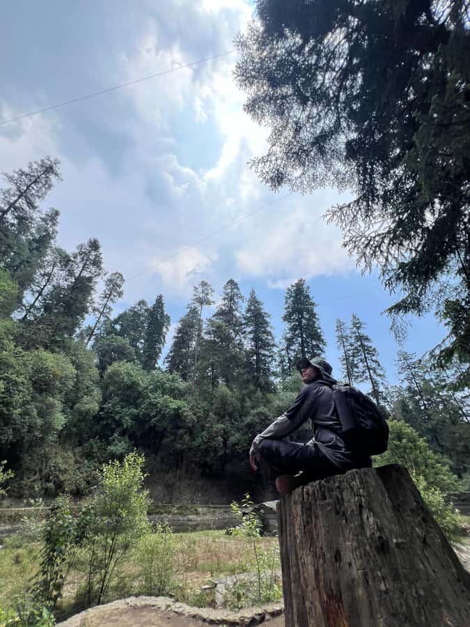 Mexico city: Hiking tour to Desierto de los leones - Should You Book the Desierto de los Leones Tour?