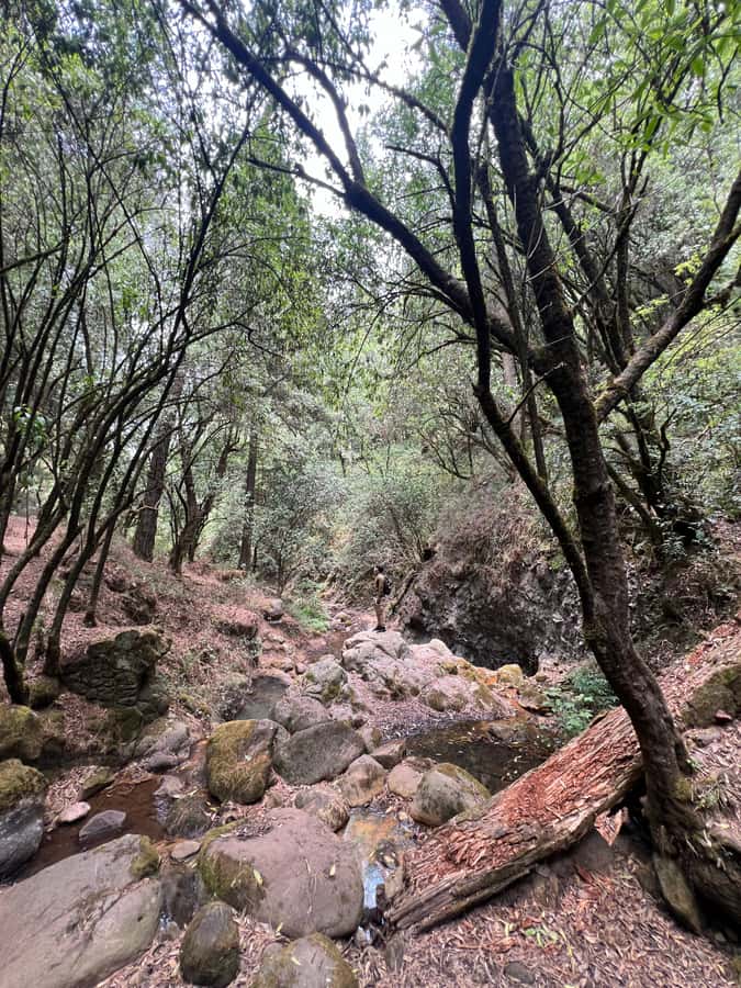 Mexico city: Hiking tour to Desierto de los leones - FAQ
