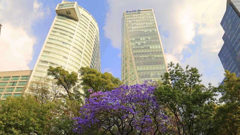 Mexico City: Hop-on Hop-off City Tour by Turibus 1-Day Pass - Polanco Circuit: shops, restaurants, and the Anthropology Museum