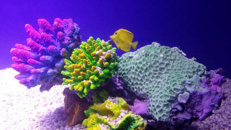 Mexico City: Inbursa Aquarium optional Round trip transfer - Key points to know before booking
