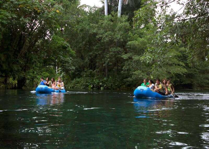 Mexico City: Las Estacas Natural Park Private Tour - Lunch at the grills or on-site restaurants
