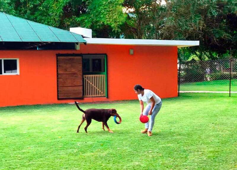 Mexico City: Las Estacas Natural Park Private Tour - What the $366 price really buys