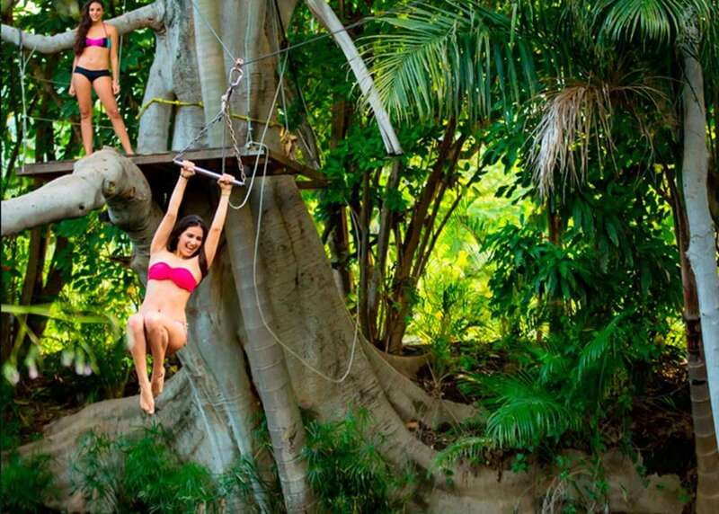 Mexico City: Las Estacas Natural Park Private Tour - What the service reports mean for your decision