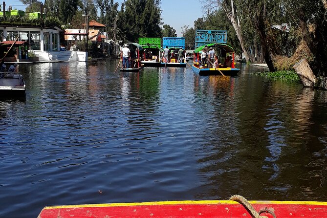 Mexico City Like a Local: Private & Custom Experience (2-4 hrs) - Transport, meeting points, and practical costs