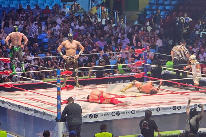 Mexico City Lucha Libre with Hotel Pickup - Understanding the matches instead of just watching the noise