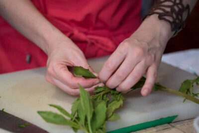 Mexican Cooking Class