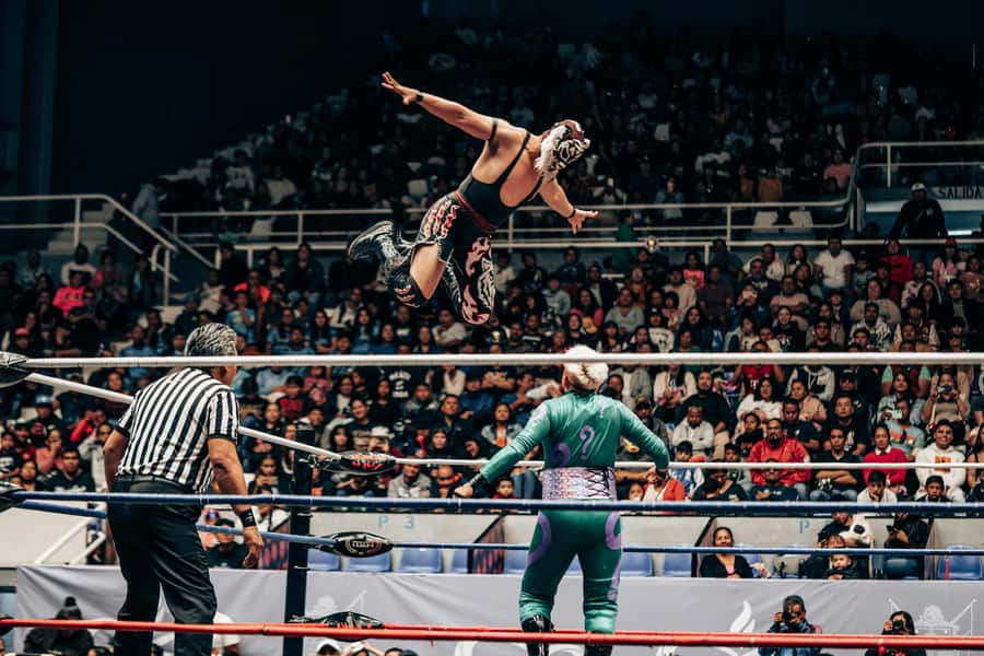 Mexico City: Mexican evening, lucha libre, and tequila - Key points at a glance