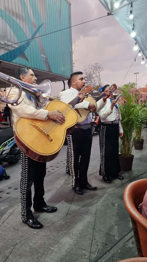 Mexico City: Mexican evening, lucha libre, and tequila - What the $53 price really covers