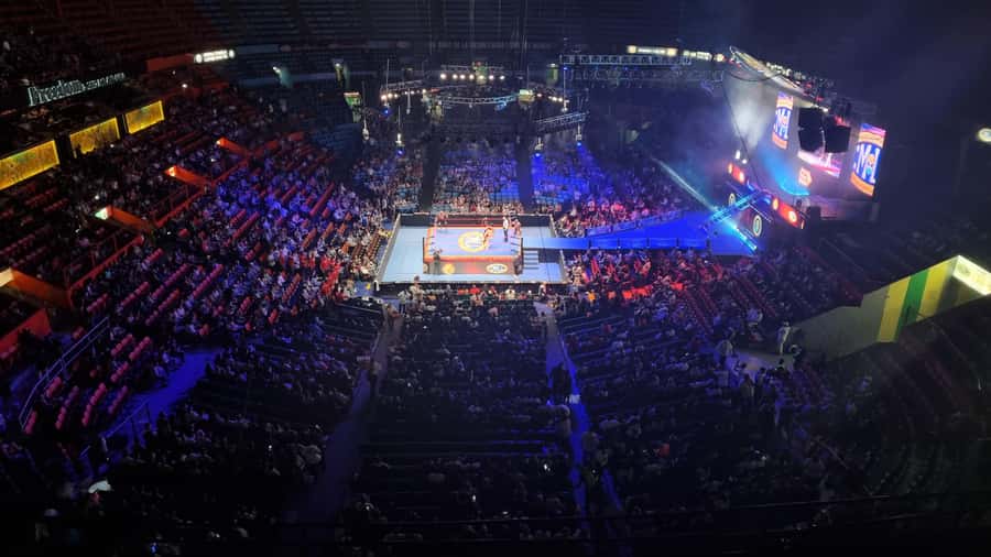 Mexico City: Mexican evening, lucha libre, and tequila - Should you book the lucha libre night?