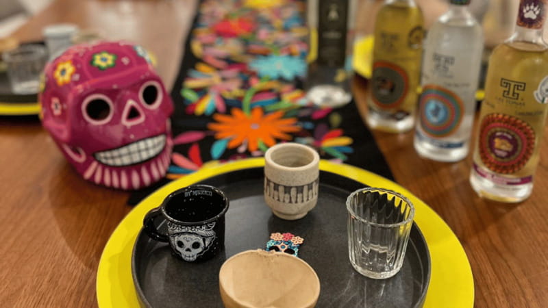 Mexico City: Mezcal Tasting Experience - Comparing agaves, towns, and styles