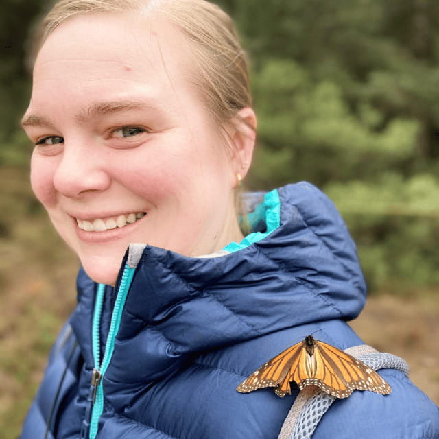 Mexico City: Monarch Butterflies, Sierra Chincua & Angangueo - Seeing thousands of monarchs in the forest