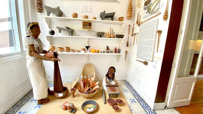 Mexico City: MUCHO Museum of Chocolate Entrance Ticket - A sensory lesson in cacao