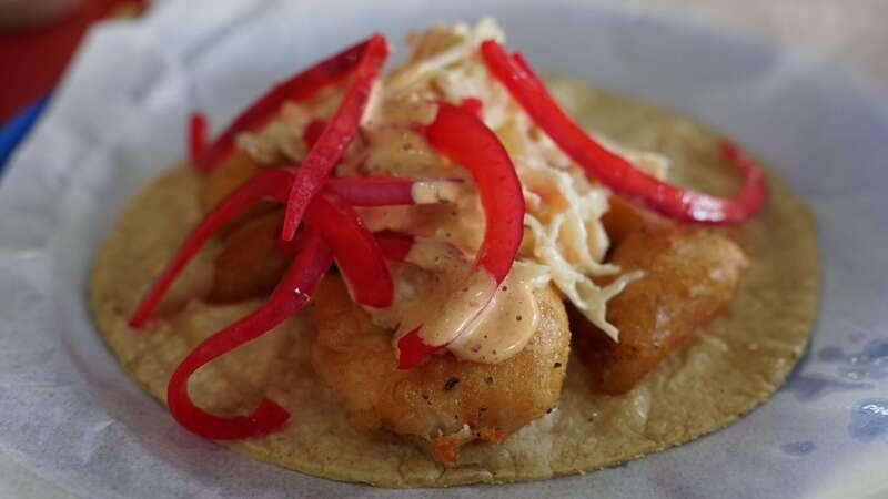 México City: Street Food to Home Cooking Food Tour - Price, portion size, and overall value