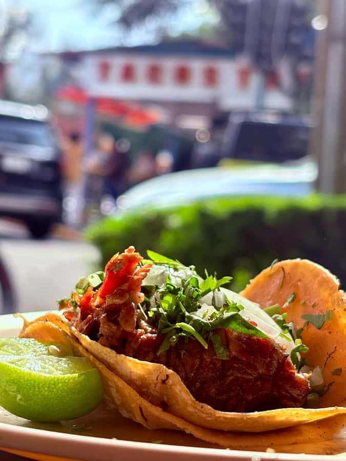 Mexico City: Taco Tour with Michelin Guide Spot & Tastings - El Maquech Púrpura and Yucatán flavors