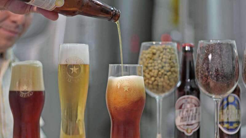 Mexico City Tasting Tour and Craft Beer Experience - Starting at Reforma 222