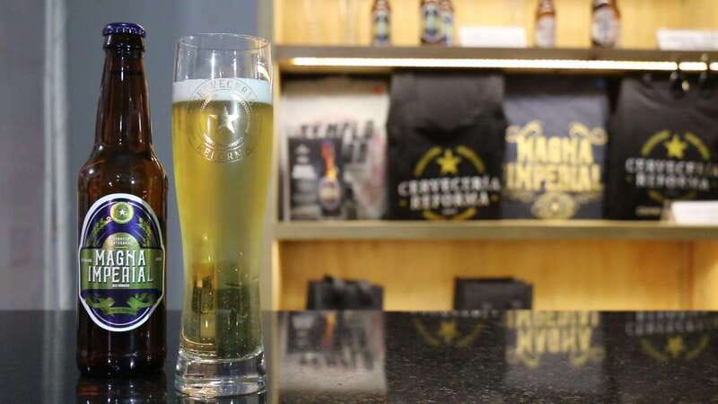 Mexico City Tasting Tour and Craft Beer Experience - Hop The Beer Experience 2 and a Large Tap List