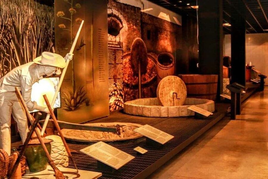 Mexico City: Tequila and Mezcal Museum Ticket with Tastings - Learning how tequila and mezcal are made