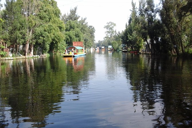 Mexico City Tour And Xochimilco - University City and the southern side of town