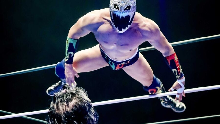Mexico City: Turiluchas Amazing Wrestling Show - Language, comfort, and practical limits