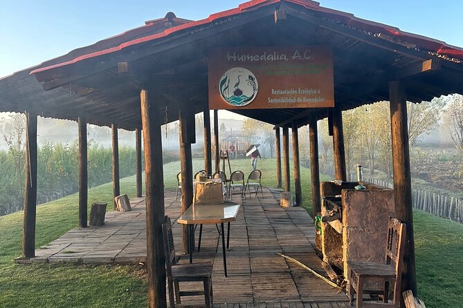 Mexico City: Xochimilco at sunrise + Breakfast and transportation - Sunrise behind the volcanoes