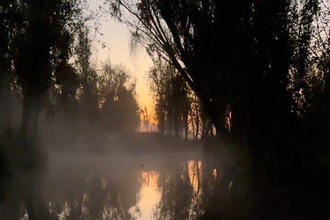 Mexico City: Xochimilco at sunrise + Breakfast and transportation - Arriving at the chinampa farm