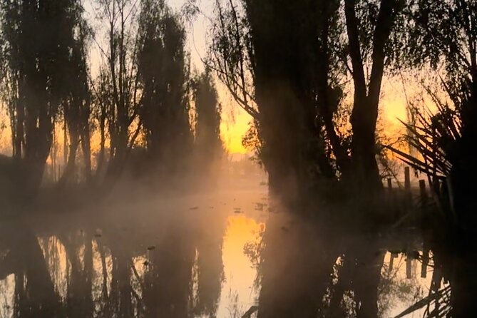 Mexico City: Xochimilco at sunrise + Breakfast and transportation - Breakfast made from the garden