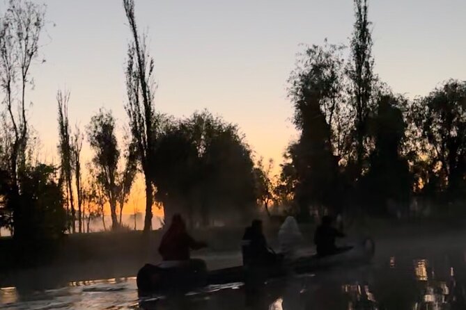 Mexico City: Xochimilco at sunrise + Breakfast and transportation - Who will get the most from this outing
