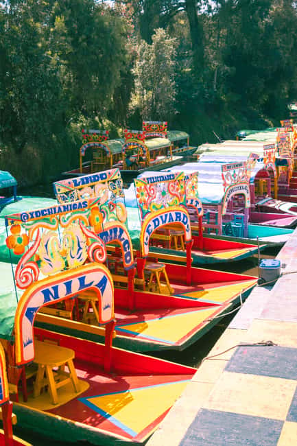Mexico City: Xochimilco Boat with Guacamole & Premium Drinks - Two hours of canals, color, and local rhythm
