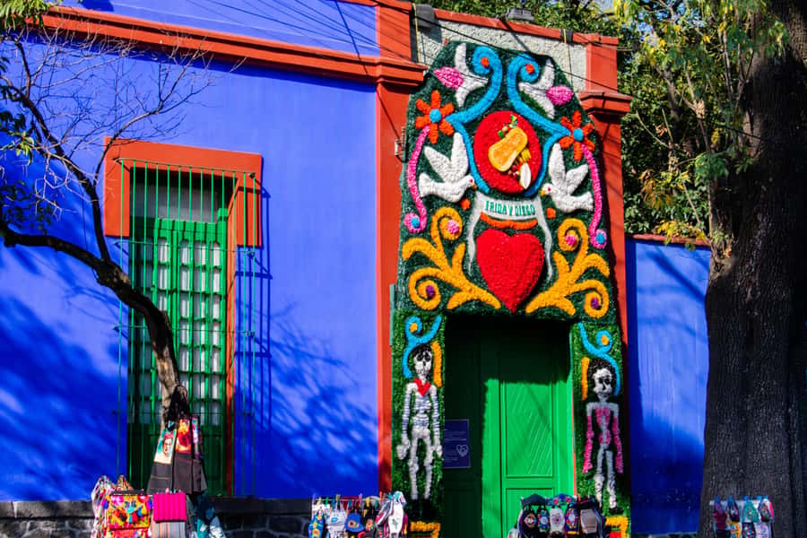 Mexico City: Xochimilco Coyoacan, Frida Kahlo & UNAM Murals - Who should book this tour?