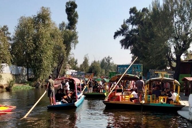 Mixology, Food, Wine and Beer Experience in Xochimilco - What the three-hour canal ride feels like