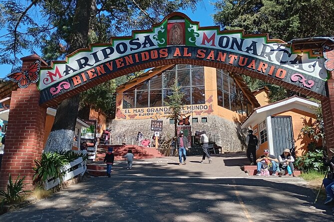 Monarch Butterflies El Rosario Preserve from Mexico City - What makes the mountain setting special