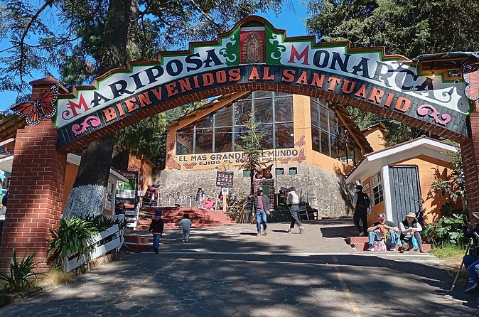 Monarch Butterflies El Rosario Preserve from Mexico City - Who will enjoy this most