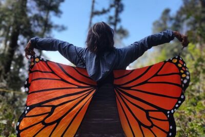 Monarch Butterfly Reserve: Piedra Herrada Magical Valle de Bravo